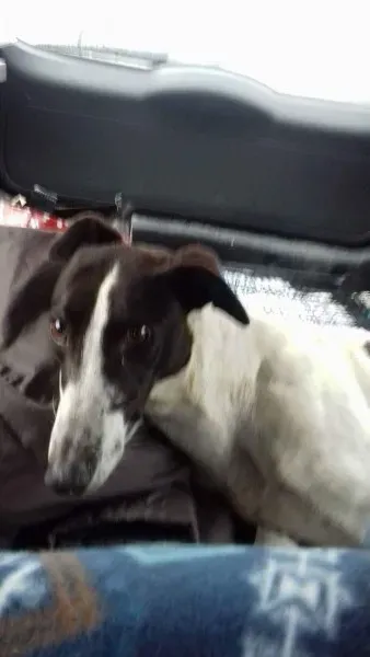 25383208 10154873076365194 369326837 o