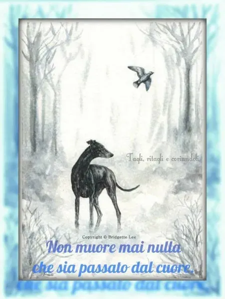 25396054 10212839125345656 1422344851714029316 n