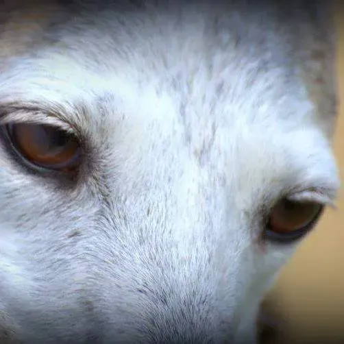 25398624 10212826832958354 5188392942014666693 n