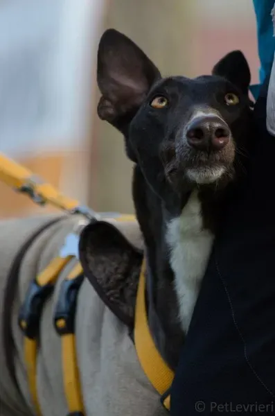 25438641 1574193839331132 803603666438312656 o