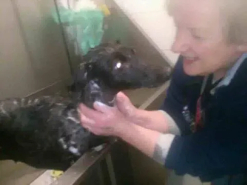 25443176 1960720653945624 2741126585970977123 n