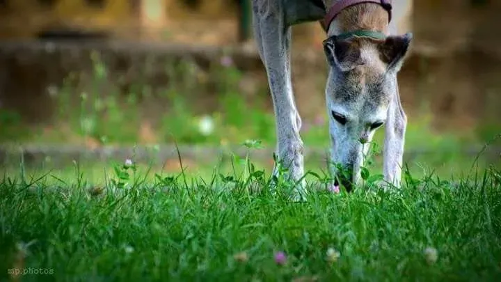 25498221 10212860556481421 1676854135907358146 n