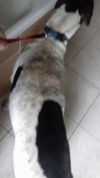 25530687 10154873076095194 2140750727 o