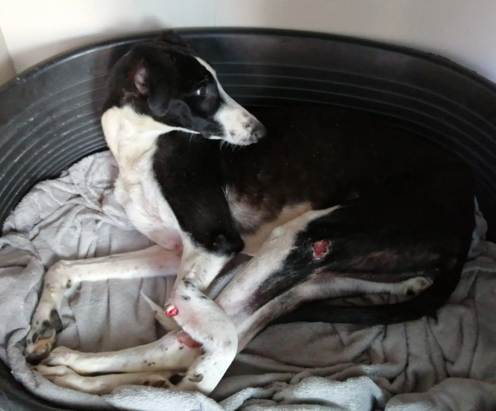 255460545 3191664011070141 7749082803385810833 n