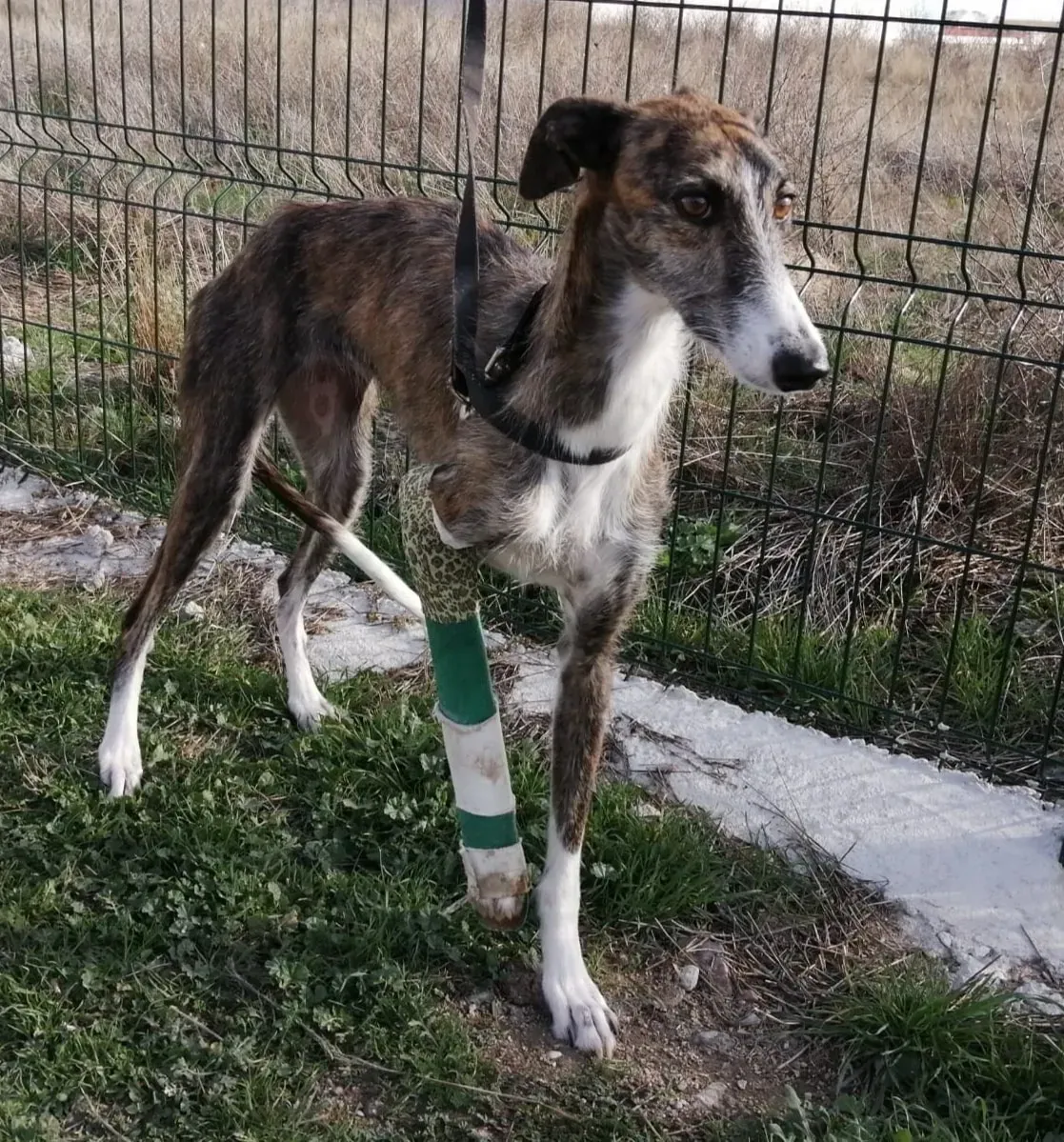 255657548 3192489034320972 439066652590603240 n