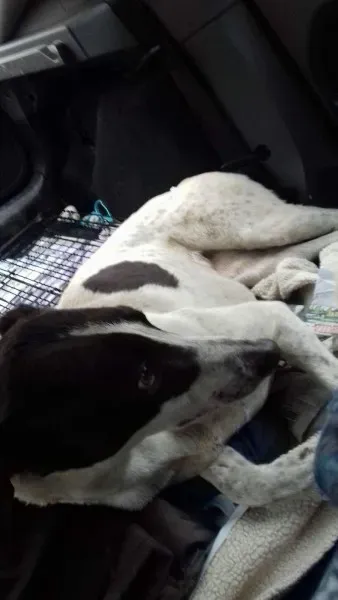 25590267 10154873076575194 484543130 o