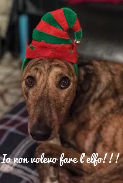 25594412 1956971127653068 3228015569929278645 n 1