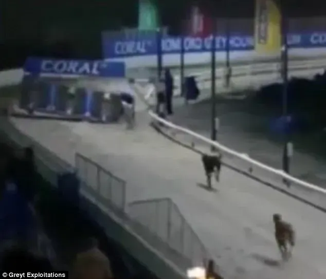 2566150600000578 2942809 image m 57 1423237201785