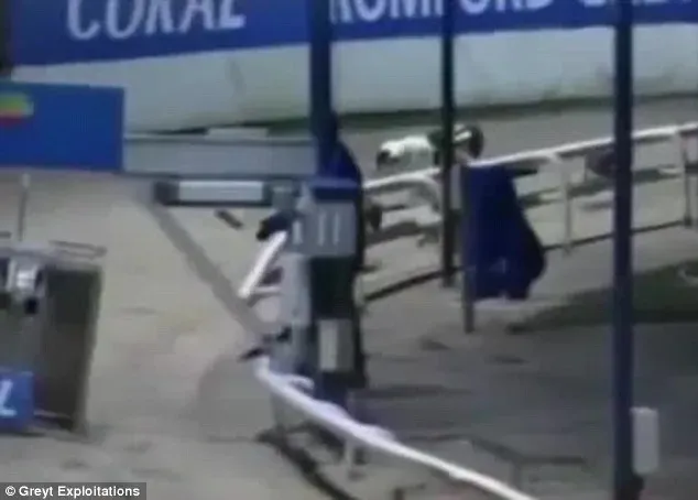 2566154600000578 2942809 image m 61 1423237415142