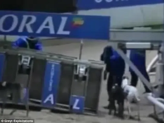 2566157C00000578 2942809 image m 63 1423237872246