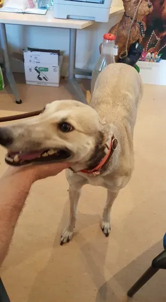 25674141 1515010081916248 2134787292 n