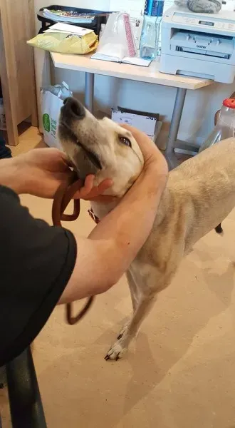 25674449 1515010078582915 1455586938 n