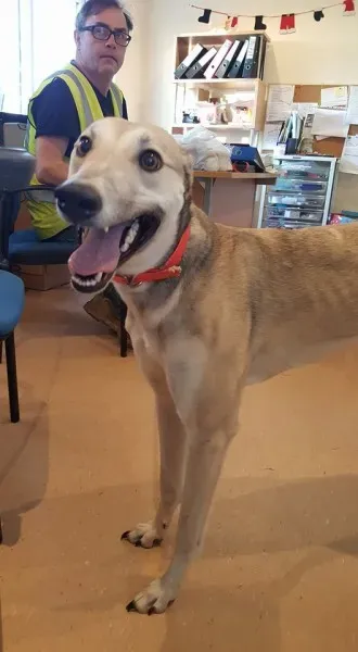 25674468 1515010041916252 1554711202 n