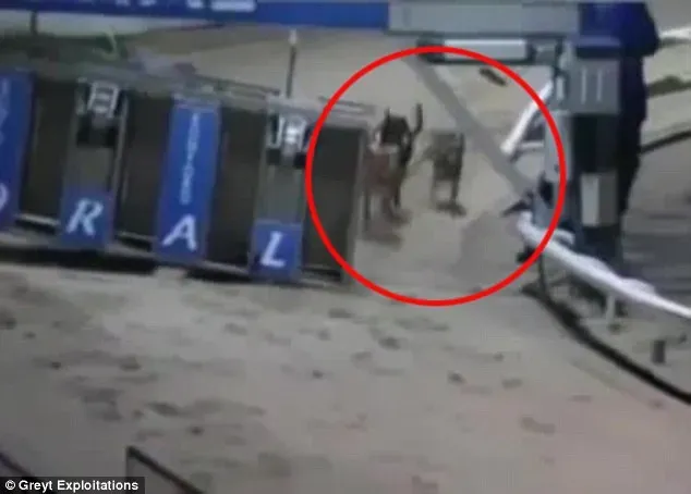 25676EDF00000578 0 image a 64 1423238121648