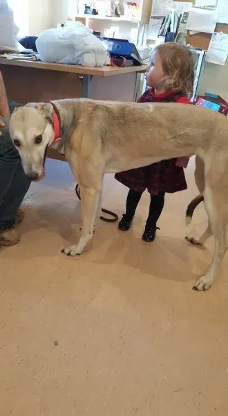 25975565 1515010055249584 978448287 n