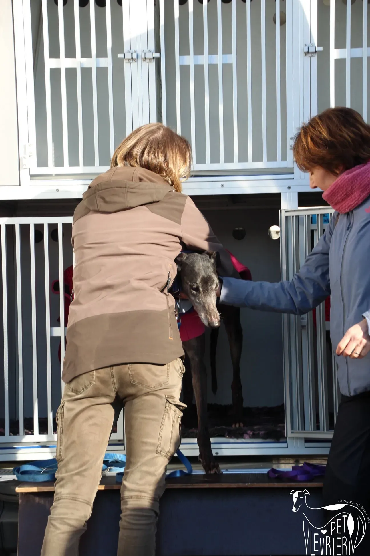 25A1467D 53A0 4454 8E71 6CBE884D0B58