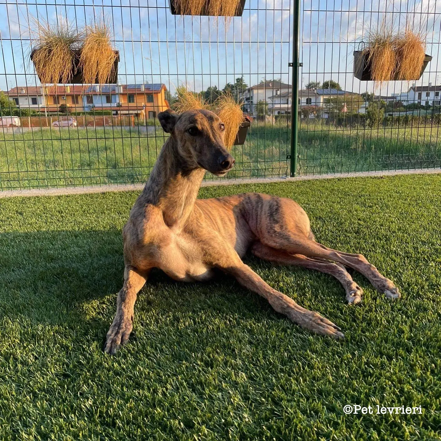 25E456DC D3D3 4686 B761 3E5A27816A66