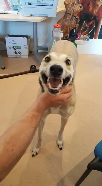 26030555 1515010128582910 1123440021 n