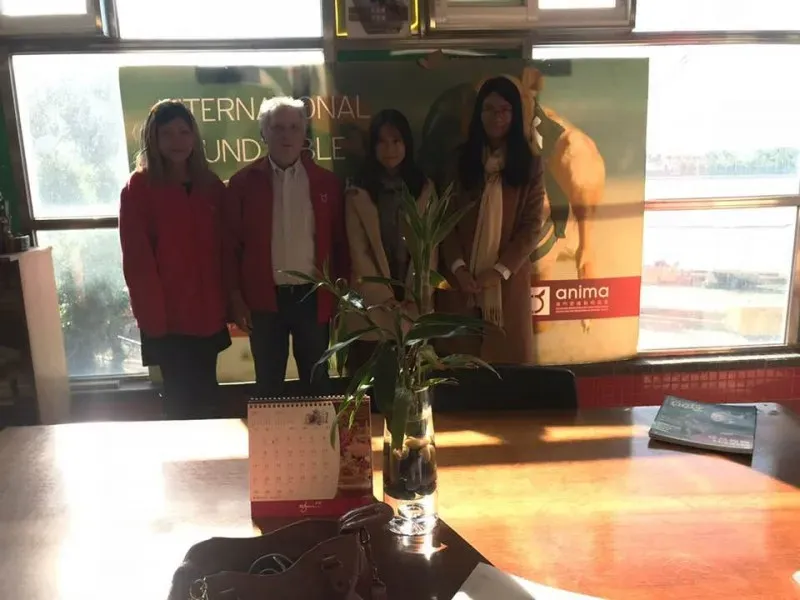 26047361 919080788262967 3850039749279979826 n