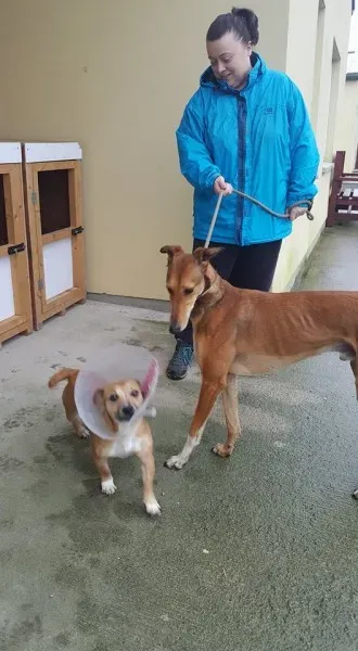 26056764 1517465971670659 800286019 n