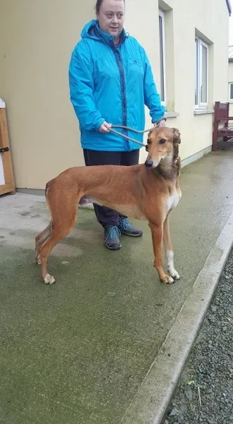 26058055 1517466908337232 1552730583 n