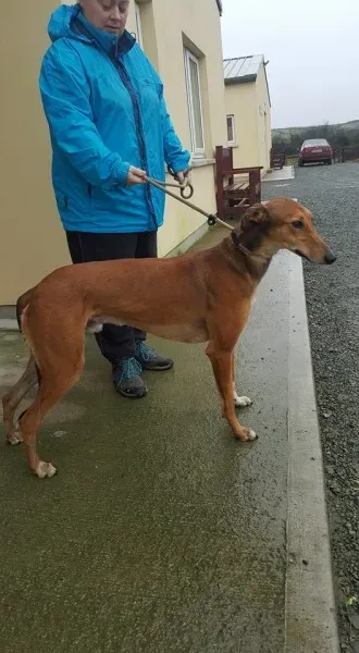 26103047 1517466211670635 484082547 n