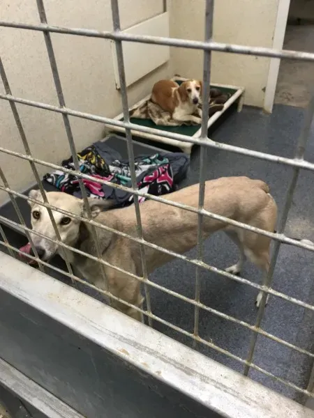 26132547 10154890574605194 1349630648 o