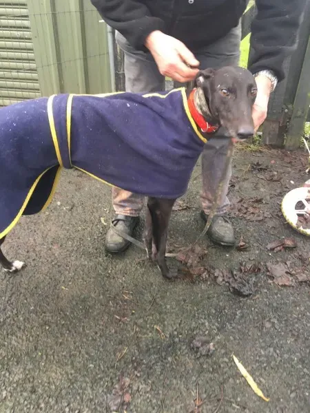 26132840 10154895215345194 1290477805 o