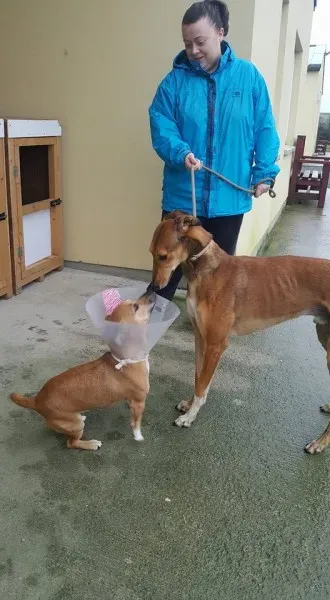 26133180 1517465771670679 105687146 n