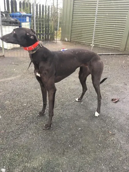 26133633 10154895227765194 541534391 o