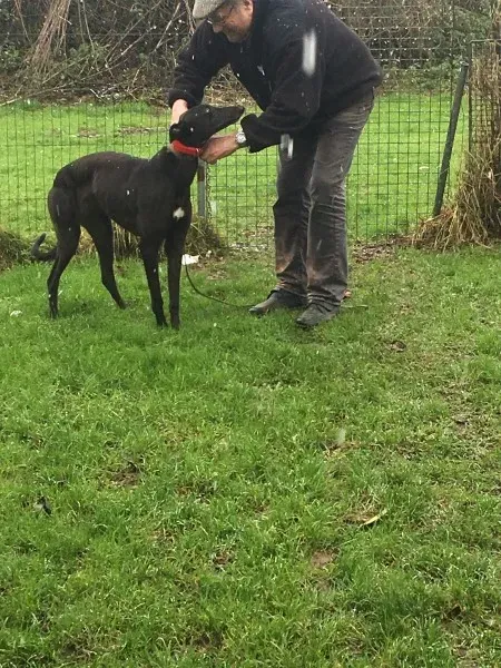 26133724 10154895227585194 937101573 o