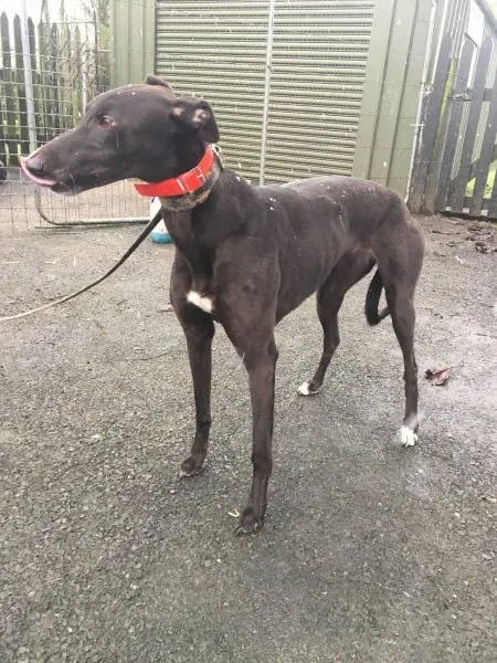 26133858 10154895227655194 1360514021 o