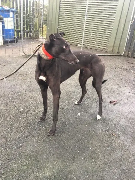 26133977 10154895227735194 1002906838 o