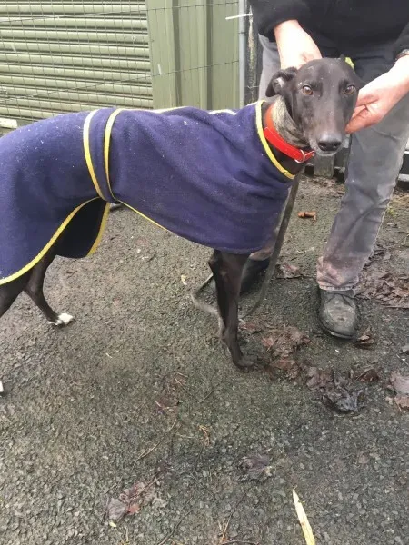 26145107 10154895215285194 2001623404 o