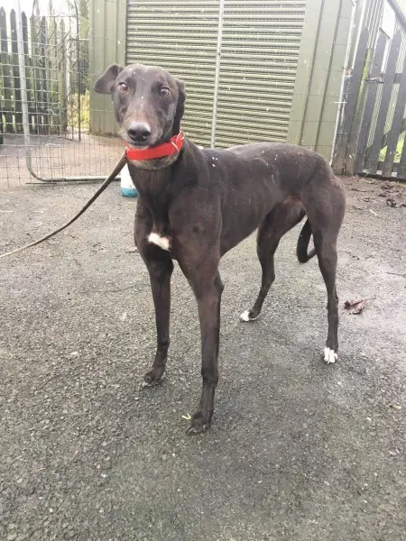 26145455 10154895227690194 1715511871 o