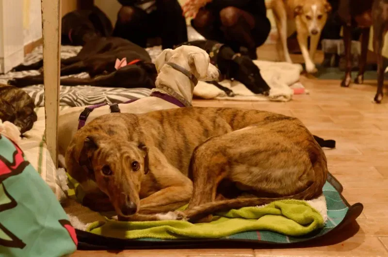 26170718 10212183822005721 3810039583301708924 o