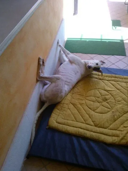 261716 10200776600970724 2027437613 n