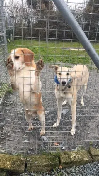 26175089 10154899628205194 1869800827 n