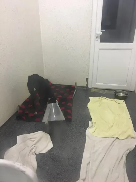 26175418 10154893950895194 495170423 n