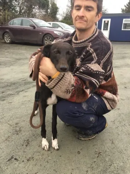 26175735 10154899594515194 2103252910 n