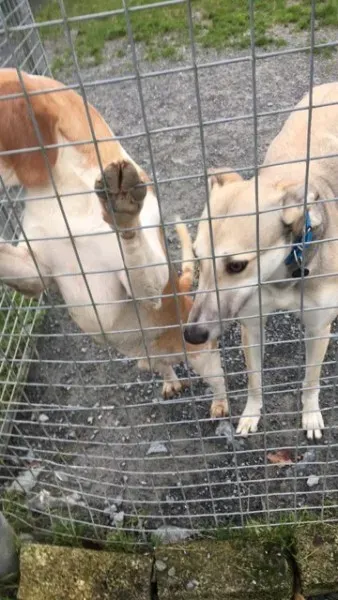 26175771 10154899627955194 1762007198 n