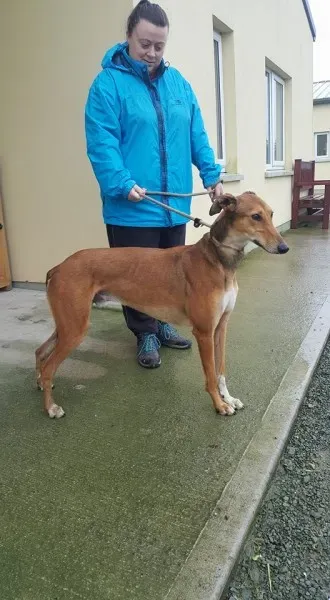 26176130 1517465791670677 659015068 n