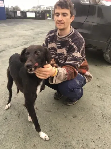 26177161 10154899595160194 609065600 n