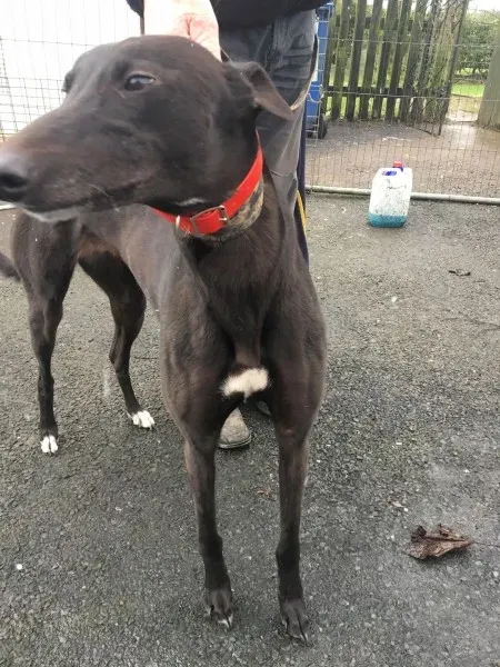 26177430 10154895228000194 2147302827 o