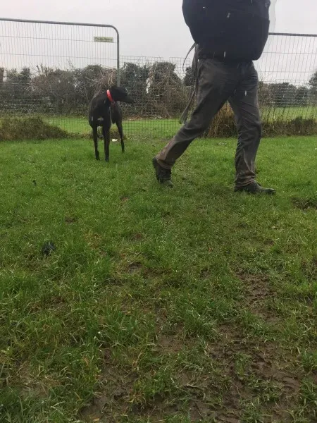 26177467 10154895219625194 1555516199 o