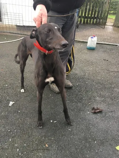 26178200 10154895227925194 1594382012 o