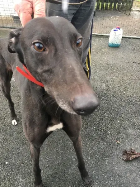 26178478 10154895227955194 1199154580 o