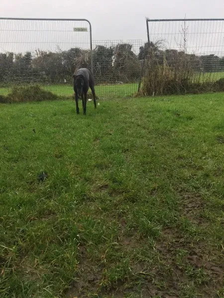 26178511 10154895219490194 647208129 o