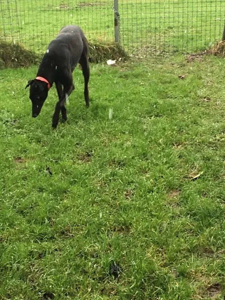 26178766 10154895227510194 333086926 o