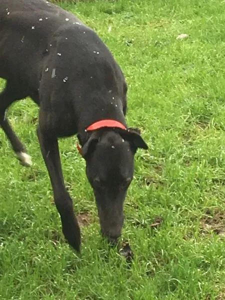 26178782 10154895219820194 1527258169 o